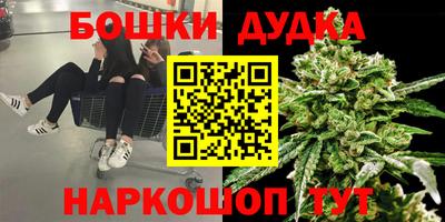 стафф Владивосток