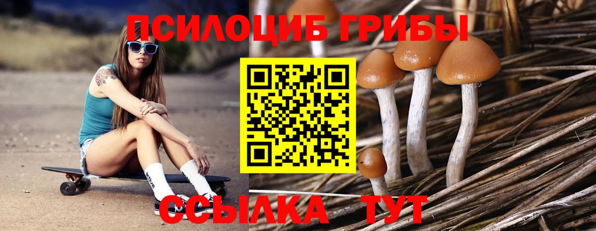 Псилоцибиновые грибы Psilocybine cubensis  Галлюциногенные грибы мицелий  Вход с VPN  Дивногорск 