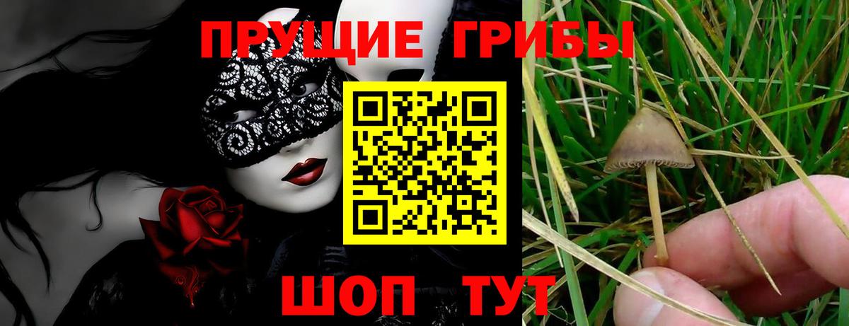 Псилоцибиновые грибы прущие грибы Дивногорск